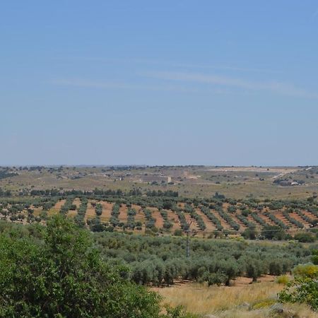 Casa Rural La Finca Guadamur Zewnętrze zdjęcie